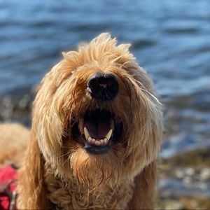 Meet your Posher, Matthew